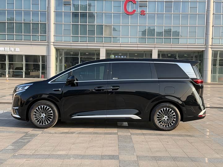 Фото 6 - Denza D9