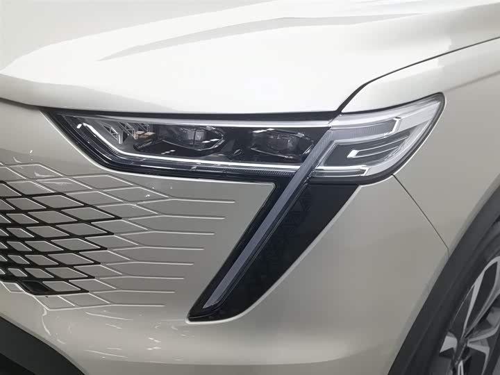 Фото 7 - Haval Ruge Max