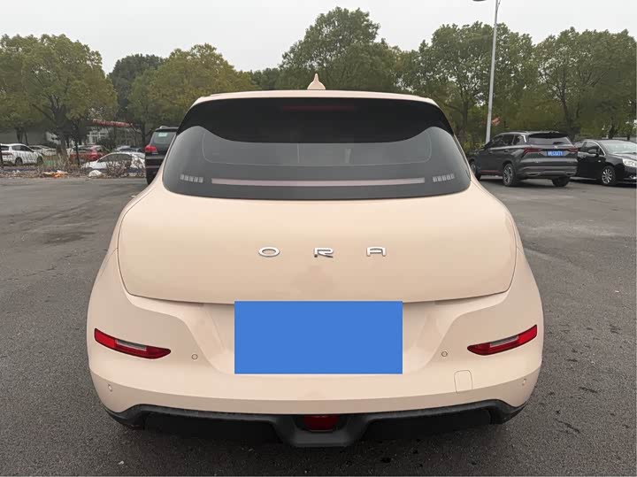 Photo 9 - Ora Good Cat (03)