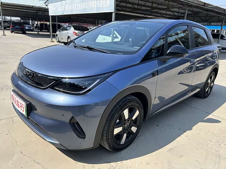 Фото 1 - BYD Dolphin