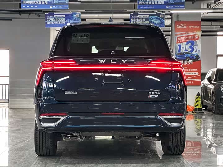 Фото 5 - Wey Lanshan