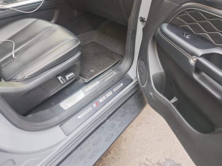 Фото 8 - Tank 300