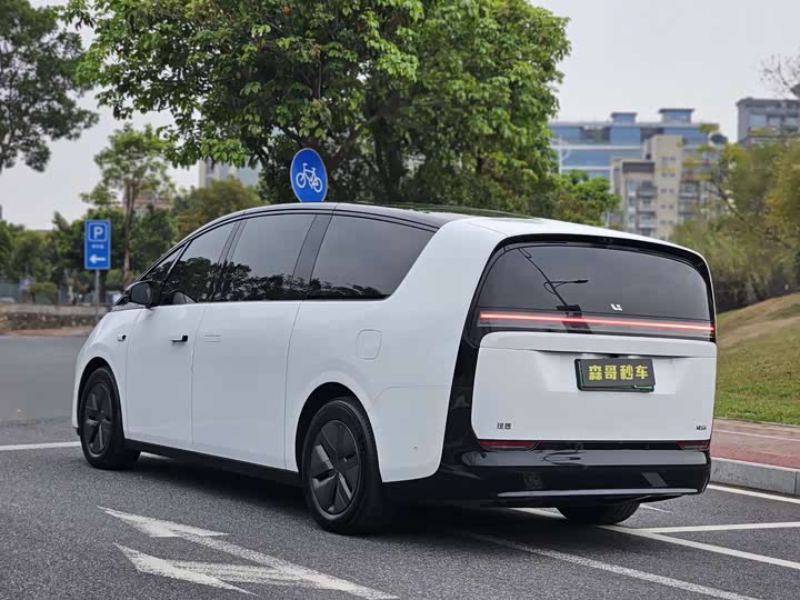 Фото 4 - LiXiang Mega