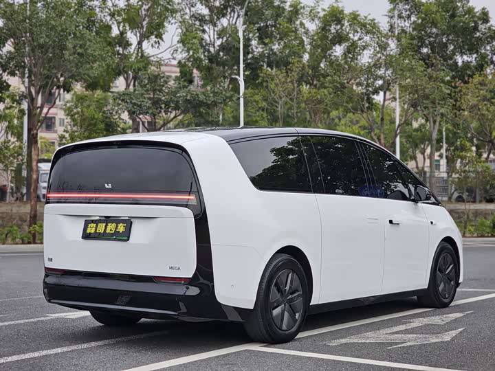 Фото 6 - LiXiang Mega