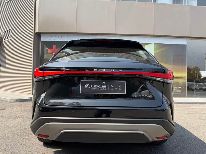 Фото 9 - Lexus RX