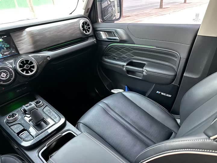 Фото 4 - Tank 300