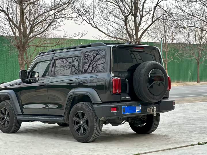 Фото 8 - Tank 300