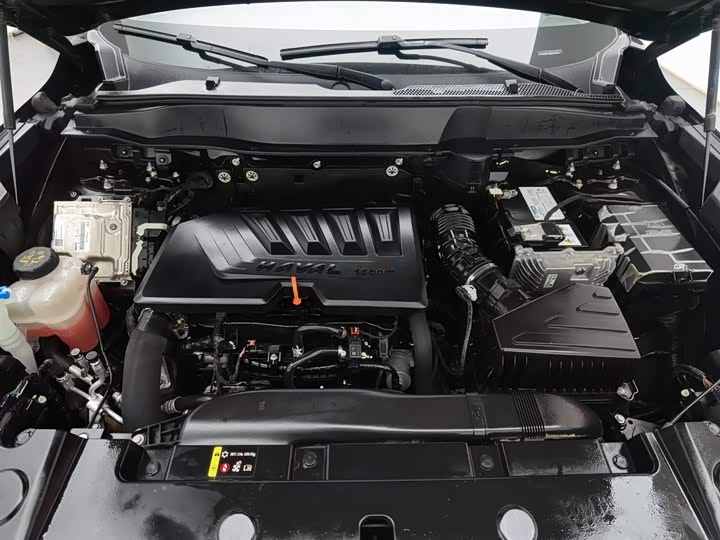 Фото 6 - Haval Dargo