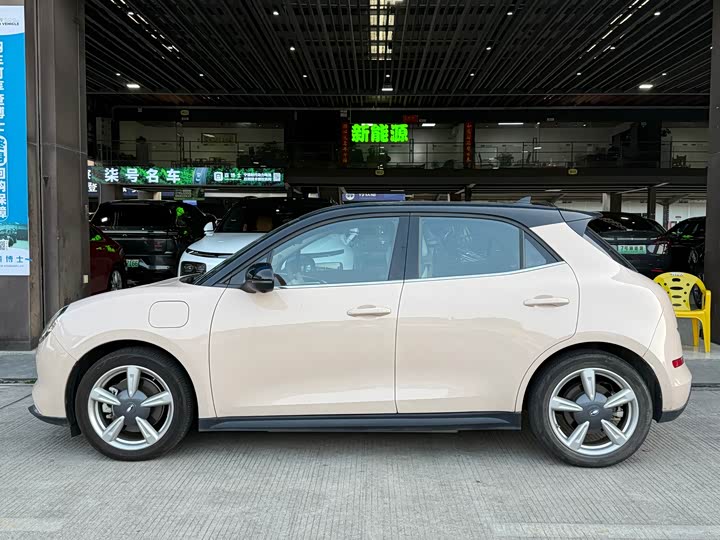 Photo 3 - Ora Good Cat (03)