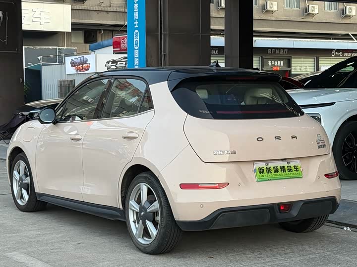 Photo 4 - Ora Good Cat (03)