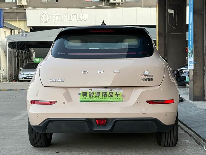 Photo 5 - Ora Good Cat (03)