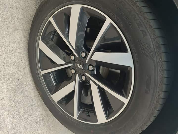 Фото 6 - LiXiang L8