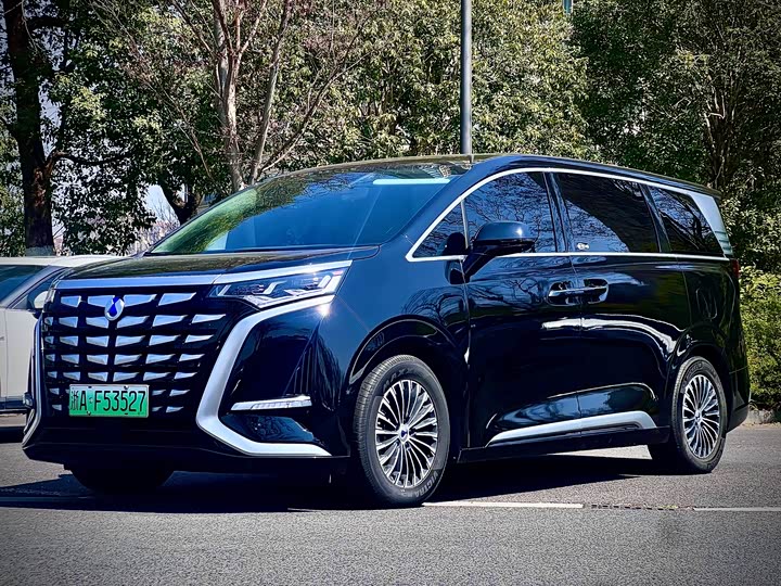 Фото 1 - Denza D9