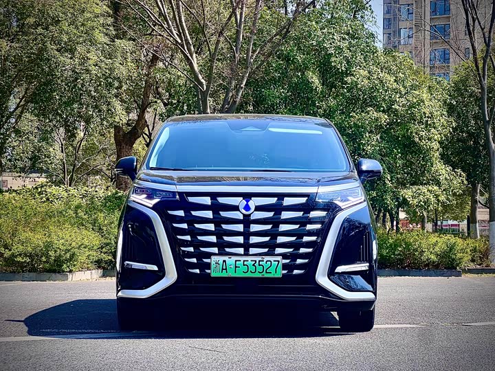 Фото 2 - Denza D9