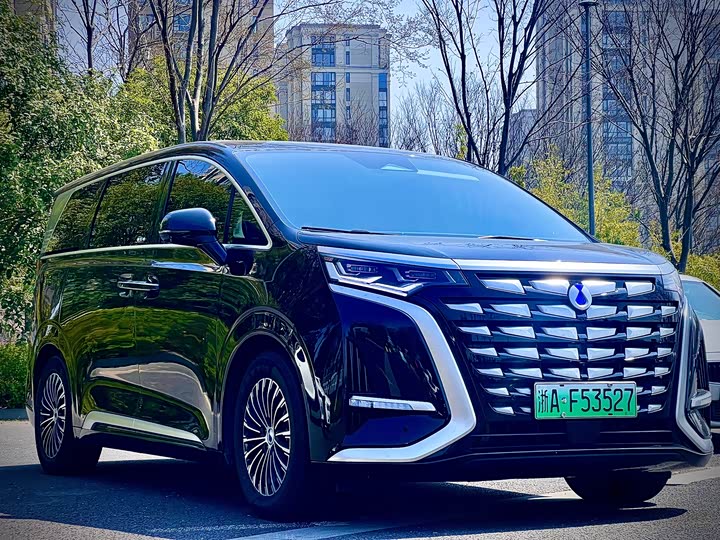 Фото 3 - Denza D9