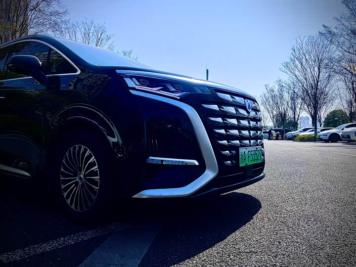 Фото 4 - Denza D9