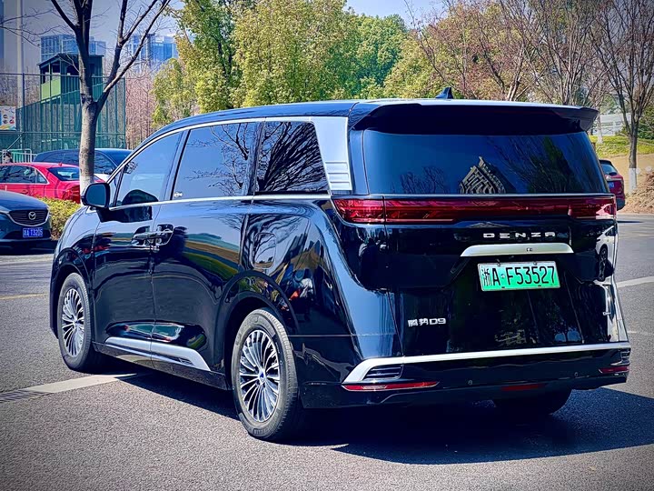 Фото 7 - Denza D9