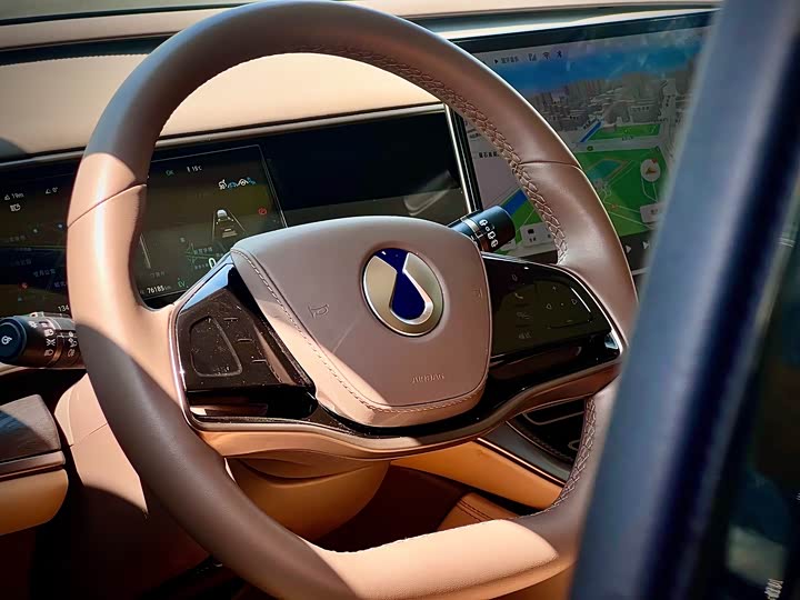 Фото 8 - Denza D9