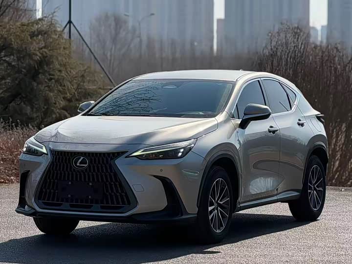 Фото 1 - Lexus NX