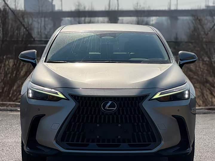 Фото 2 - Lexus NX