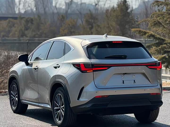 Фото 5 - Lexus NX