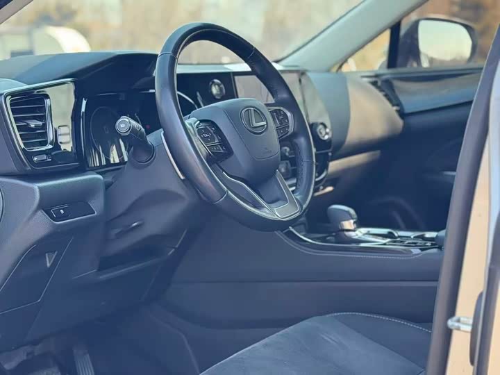 Фото 6 - Lexus NX