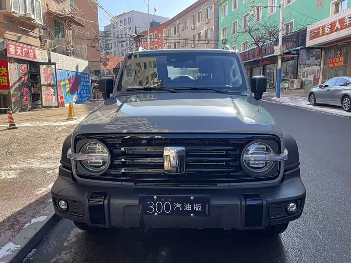 Фото 1 - Tank 300