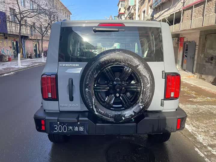 Фото 5 - Tank 300