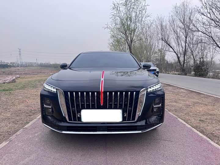 Фото 2 - Hongqi H5 Hybrid