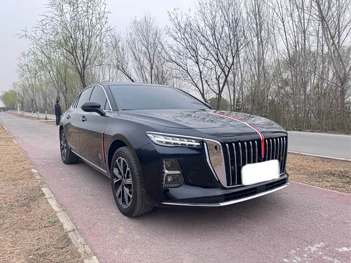Фото 3 - Hongqi H5 Hybrid