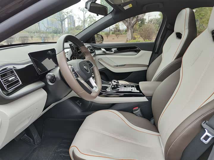 Фото 8 - BYD Qin Plus