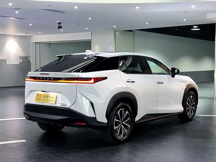 Фото 4 - Lexus RZ