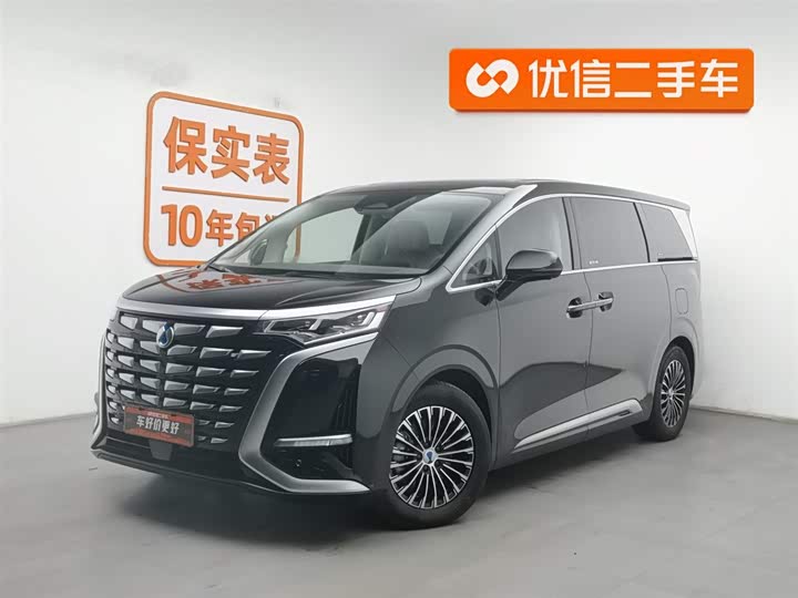 Фото 1 - Denza D9