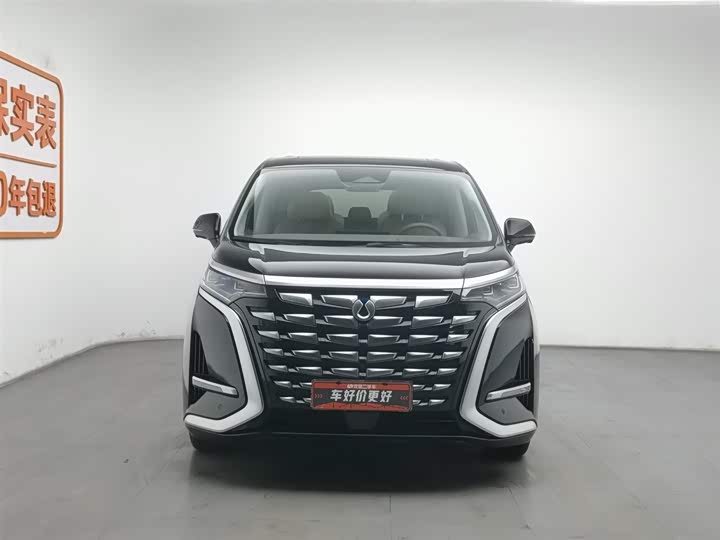 Фото 3 - Denza D9