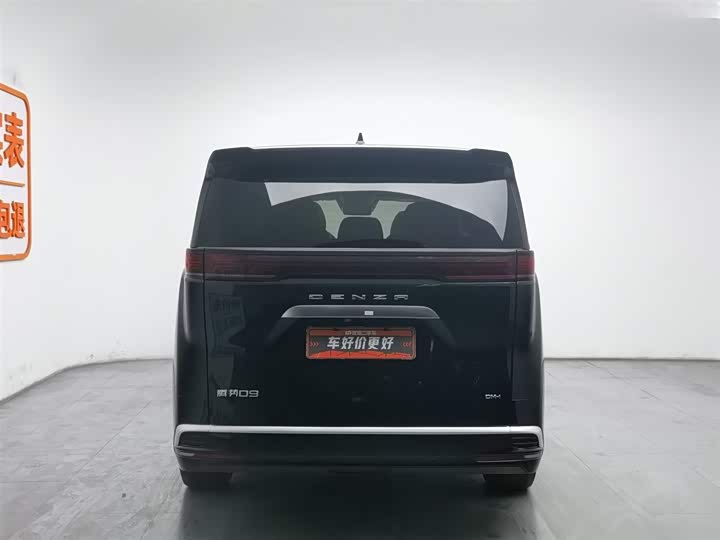 Фото 4 - Denza D9