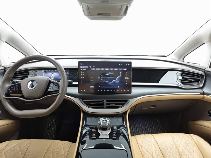 Фото 5 - Denza D9