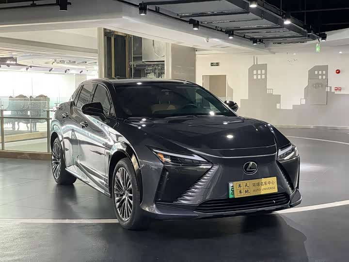 Фото 3 - Lexus RZ