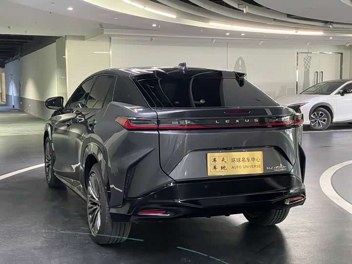 Фото 6 - Lexus RZ