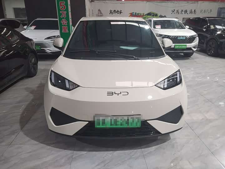 Фото 2 - BYD Seagull