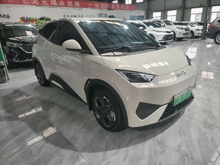 Фото 3 - BYD Seagull