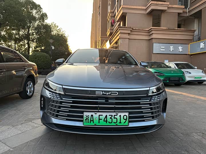 Фото 2 - BYD Destroyer 05