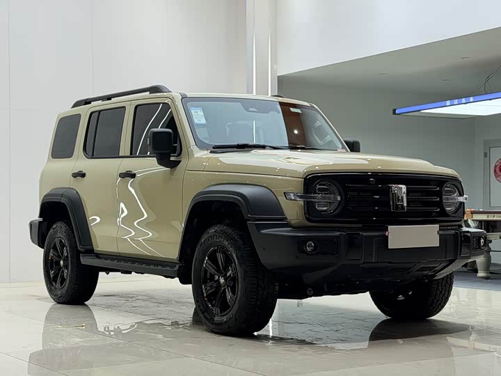 Фото 3 - Tank 300