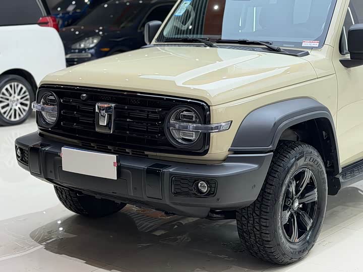 Фото 4 - Tank 300