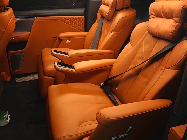 Фото 6 - Buick OMPV