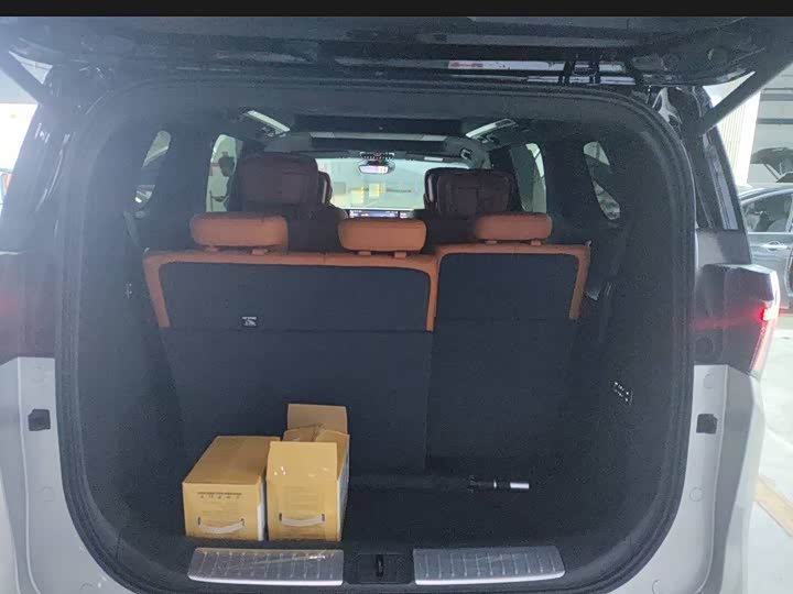 Фото 8 - Buick OMPV