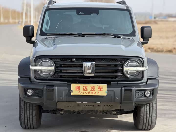 Фото 1 - Tank 300