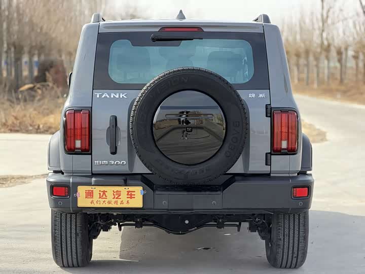 Фото 2 - Tank 300