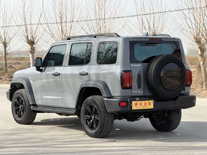 Фото 7 - Tank 300