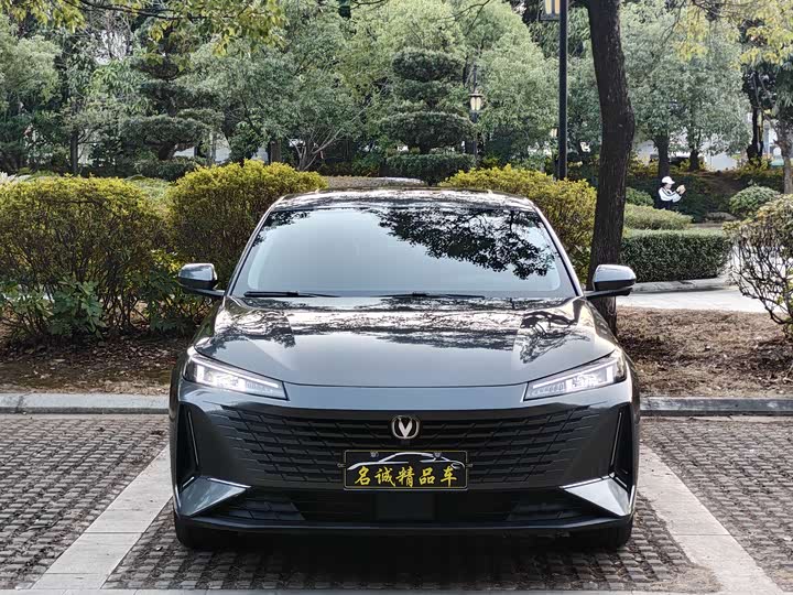 Фото 2 - Changan Yida