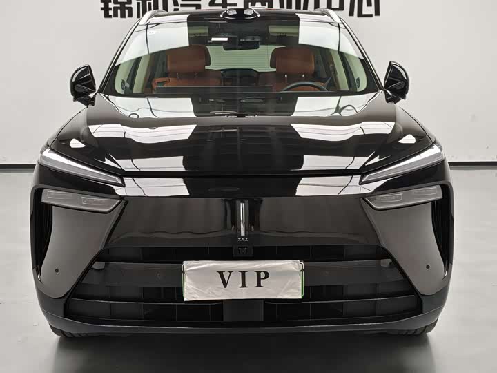 Фото 2 - Wey Lanshan